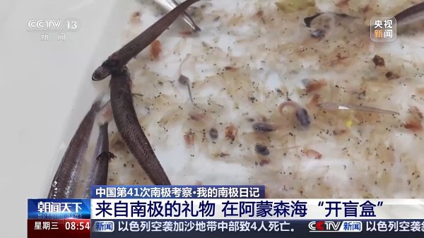 九游体育app(中国)官方网站科考队员们开展了繁密的功课模式-九游体育「NineGame Sports」官方网站
